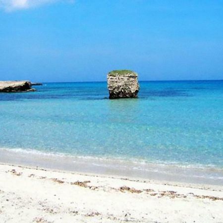Casa Vacanze Mare E Uliviサン・フォカ エクステリア 写真
